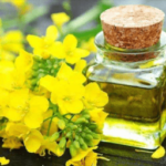 موضوع وبلاگ در مورد گلزا